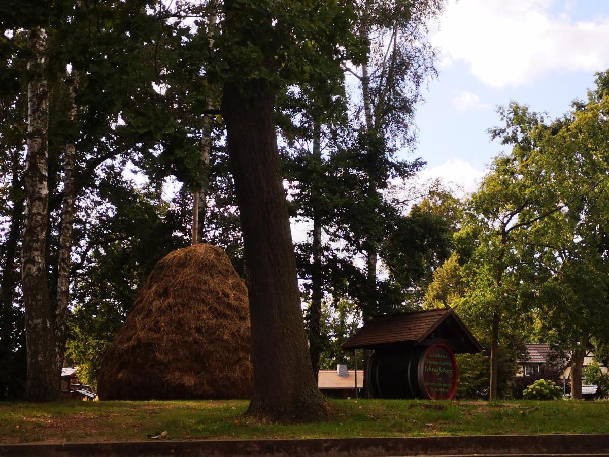 Spreewald Ferienwohnung Wollgast Lübben Exterior foto